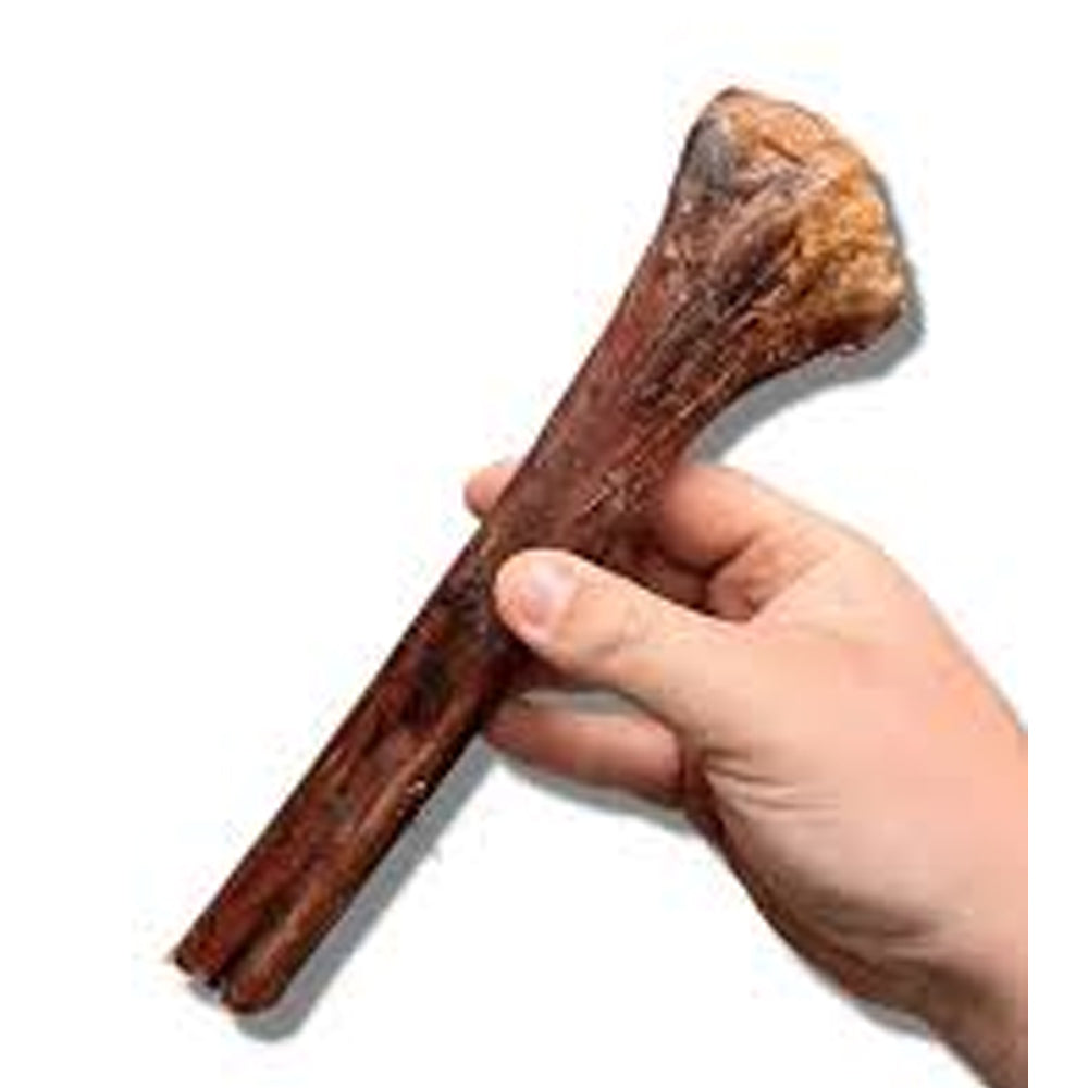 Ostrich Metatarsus Bone