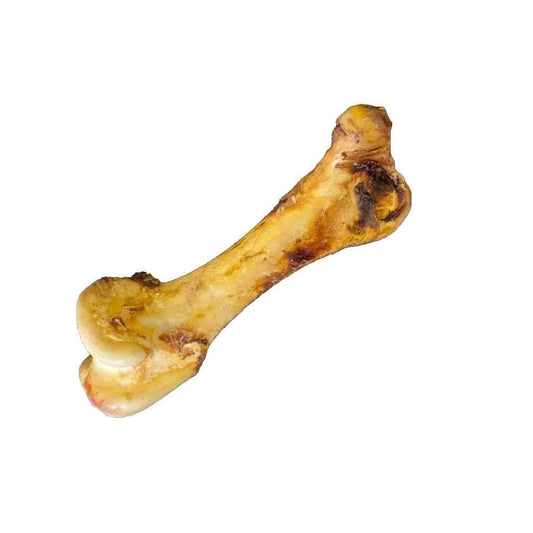 Ostrich Dino Bone